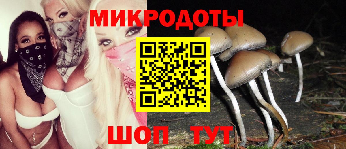 Галлюциногенные грибы GOLDEN TEACHER  Вход с VPN  Подольск 