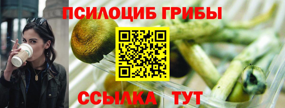 Галлюциногенные грибы мухоморы Подольск